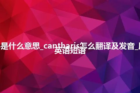 cantharis是什么意思_cantharis怎么翻译及发音_用法_例句_英语短语