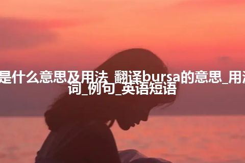 bursa是什么意思及用法_翻译bursa的意思_用法_同义词_例句_英语短语