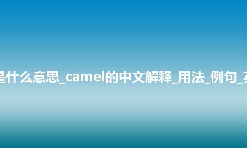 camel是什么意思_camel的中文解释_用法_例句_英语短语