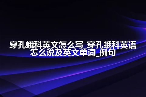 穿孔蛾科英文怎么写_穿孔蛾科英语怎么说及英文单词_例句