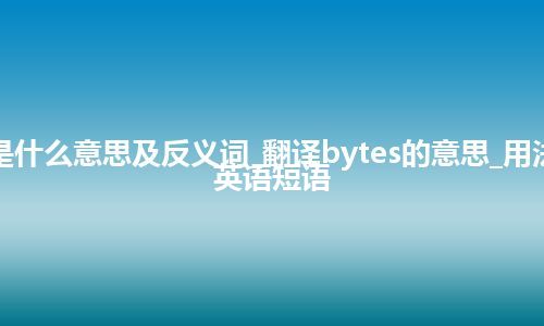 bytes是什么意思及反义词_翻译bytes的意思_用法_例句_英语短语