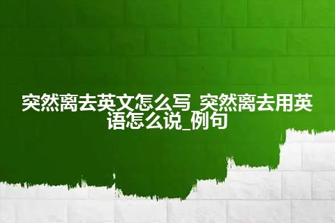 突然离去英文怎么写_突然离去用英语怎么说_例句