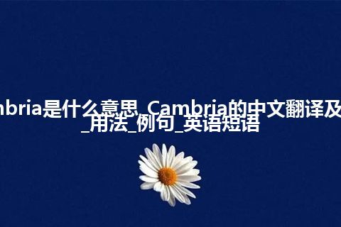 Cambria是什么意思_Cambria的中文翻译及音标_用法_例句_英语短语