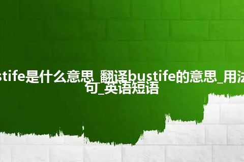 bustife是什么意思_翻译bustife的意思_用法_例句_英语短语