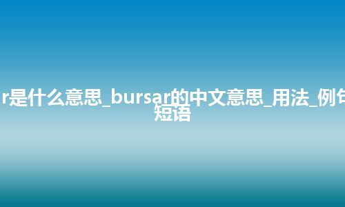 bursar是什么意思_bursar的中文意思_用法_例句_英语短语