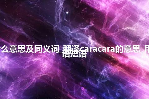 caracara什么意思及同义词_翻译caracara的意思_用法_例句_英语短语