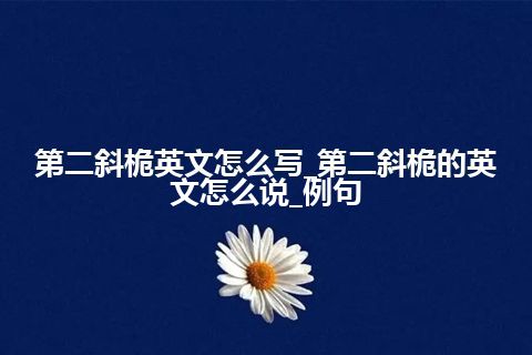 第二斜桅英文怎么写_第二斜桅的英文怎么说_例句