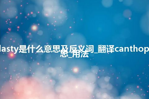 canthoplasty是什么意思及反义词_翻译canthoplasty的意思_用法