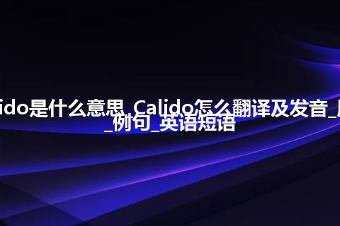 Calido是什么意思_Calido怎么翻译及发音_用法_例句_英语短语