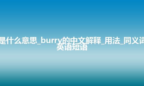 burry是什么意思_burry的中文解释_用法_同义词_例句_英语短语