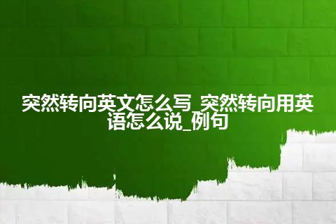 突然转向英文怎么写_突然转向用英语怎么说_例句