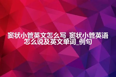 窦状小管英文怎么写_窦状小管英语怎么说及英文单词_例句