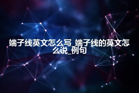 端子线英文怎么写_端子线的英文怎么说_例句