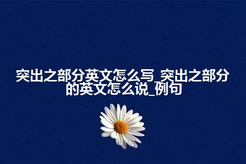 突出之部分英文怎么写_突出之部分的英文怎么说_例句