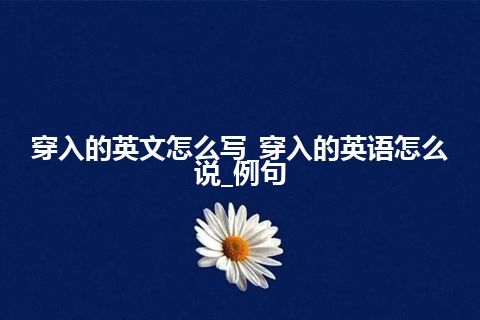 穿入的英文怎么写_穿入的英语怎么说_例句