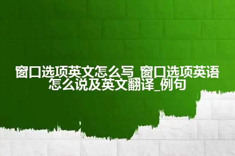 窗口选项英文怎么写_窗口选项英语怎么说及英文翻译_例句