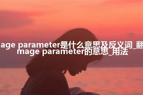 damage parameter是什么意思及反义词_翻译damage parameter的意思_用法