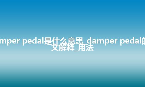 damper pedal是什么意思_damper pedal的中文解释_用法