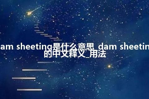 dam sheeting是什么意思_dam sheeting的中文释义_用法