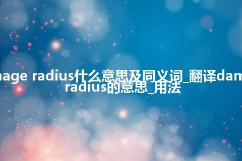 damage radius什么意思及同义词_翻译damage radius的意思_用法