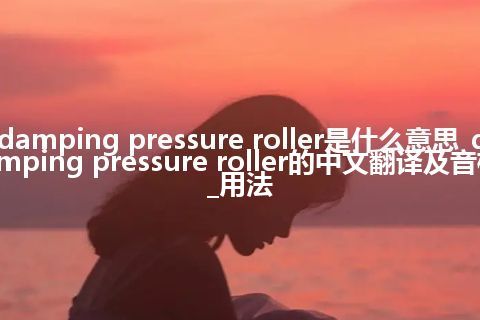 damping pressure roller是什么意思_damping pressure roller的中文翻译及音标_用法