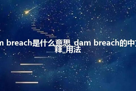 dam breach是什么意思_dam breach的中文解释_用法