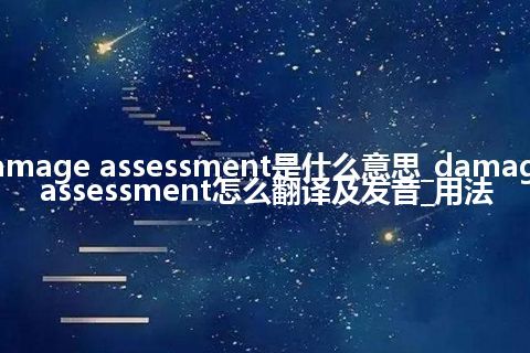 damage assessment是什么意思_damage assessment怎么翻译及发音_用法