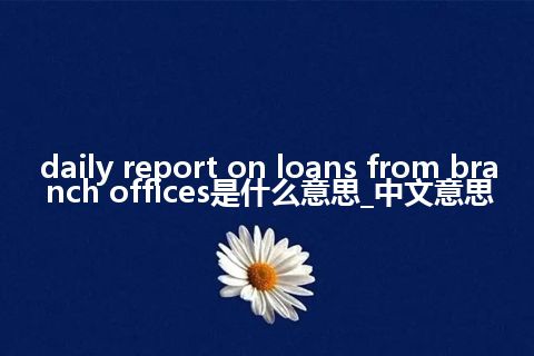 daily report on loans from branch offices是什么意思_中文意思