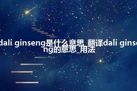 dali ginseng是什么意思_翻译dali ginseng的意思_用法