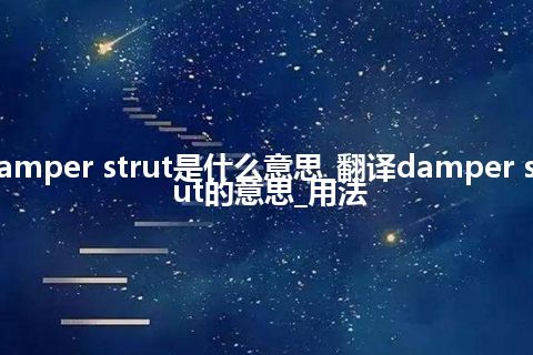 damper strut是什么意思_翻译damper strut的意思_用法