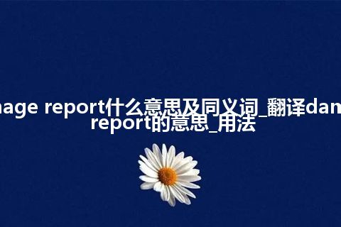 damage report什么意思及同义词_翻译damage report的意思_用法