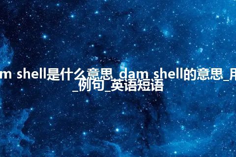 dam shell是什么意思_dam shell的意思_用法_例句_英语短语