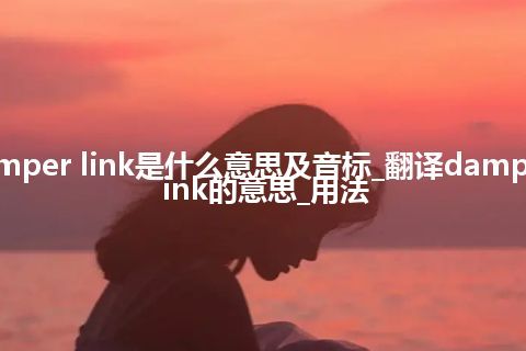 damper link是什么意思及音标_翻译damper link的意思_用法