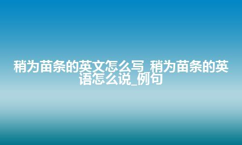 稍为苗条的英文怎么写_稍为苗条的英语怎么说_例句