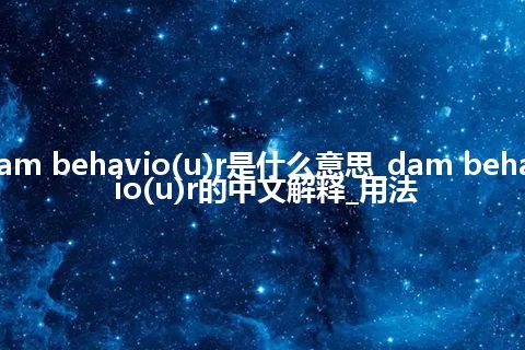 dam behavio(u)r是什么意思_dam behavio(u)r的中文解释_用法