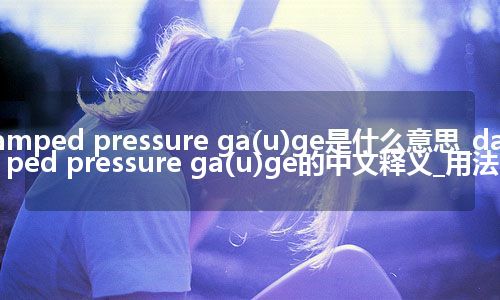 damped pressure ga(u)ge是什么意思_damped pressure ga(u)ge的中文释义_用法