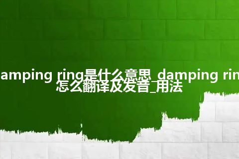 damping ring是什么意思_damping ring怎么翻译及发音_用法