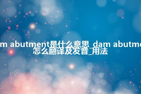 dam abutment是什么意思_dam abutment怎么翻译及发音_用法