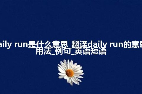 daily run是什么意思_翻译daily run的意思_用法_例句_英语短语