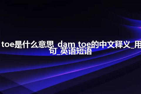 dam toe是什么意思_dam toe的中文释义_用法_例句_英语短语