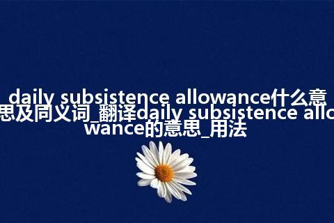 daily subsistence allowance什么意思及同义词_翻译daily subsistence allowance的意思_用法