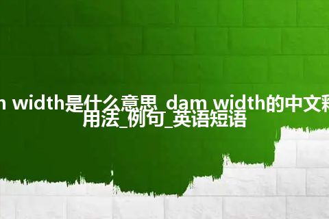 dam width是什么意思_dam width的中文释义_用法_例句_英语短语