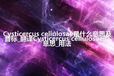 Cysticercus cellulosae是什么意思及音标_翻译Cysticercus cellulosae的意思_用法