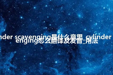 cylinder scavenging是什么意思_cylinder scavenging怎么翻译及发音_用法