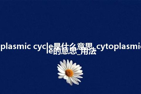 cytoplasmic cycle是什么意思_cytoplasmic cycle的意思_用法