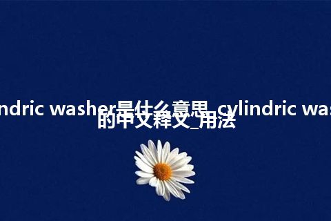 cylindric washer是什么意思_cylindric washer的中文释义_用法