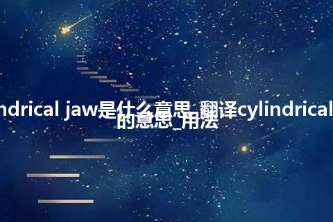 cylindrical jaw是什么意思_翻译cylindrical jaw的意思_用法