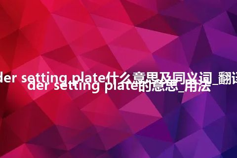 cylinder setting plate什么意思及同义词_翻译cylinder setting plate的意思_用法