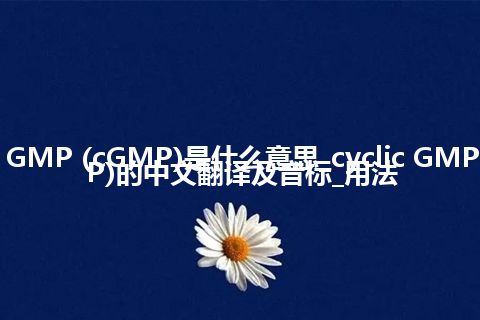 cyclic GMP (cGMP)是什么意思_cyclic GMP (cGMP)的中文翻译及音标_用法