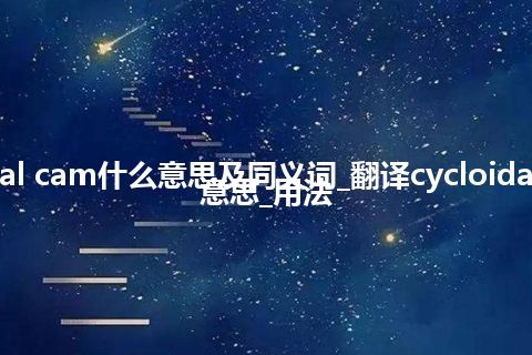 cycloidal cam什么意思及同义词_翻译cycloidal cam的意思_用法